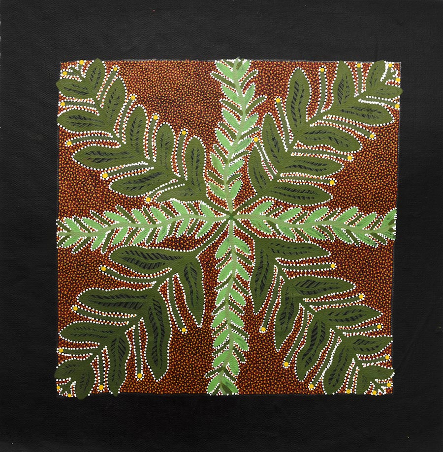 Australian_DotPainting_Sammlung_Scheps-Bretschneider_Bild_9_Farne_DSC_0125